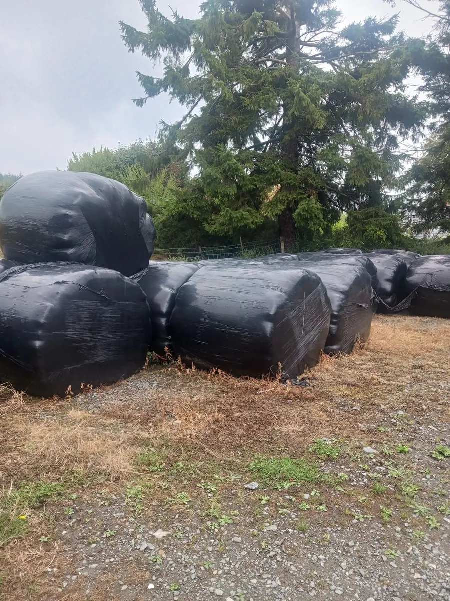 Bales haylage - Image 2