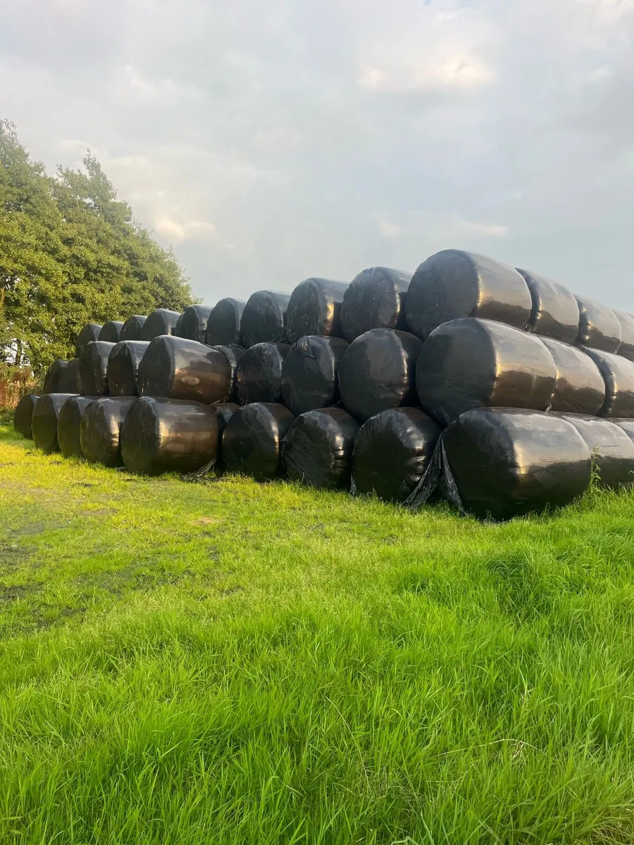 Hay, Haylage and Silage for sale - Image 1