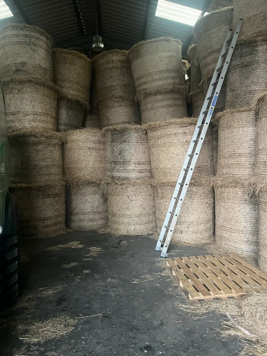 Hay, Haylage and Silage for sale - Image 2