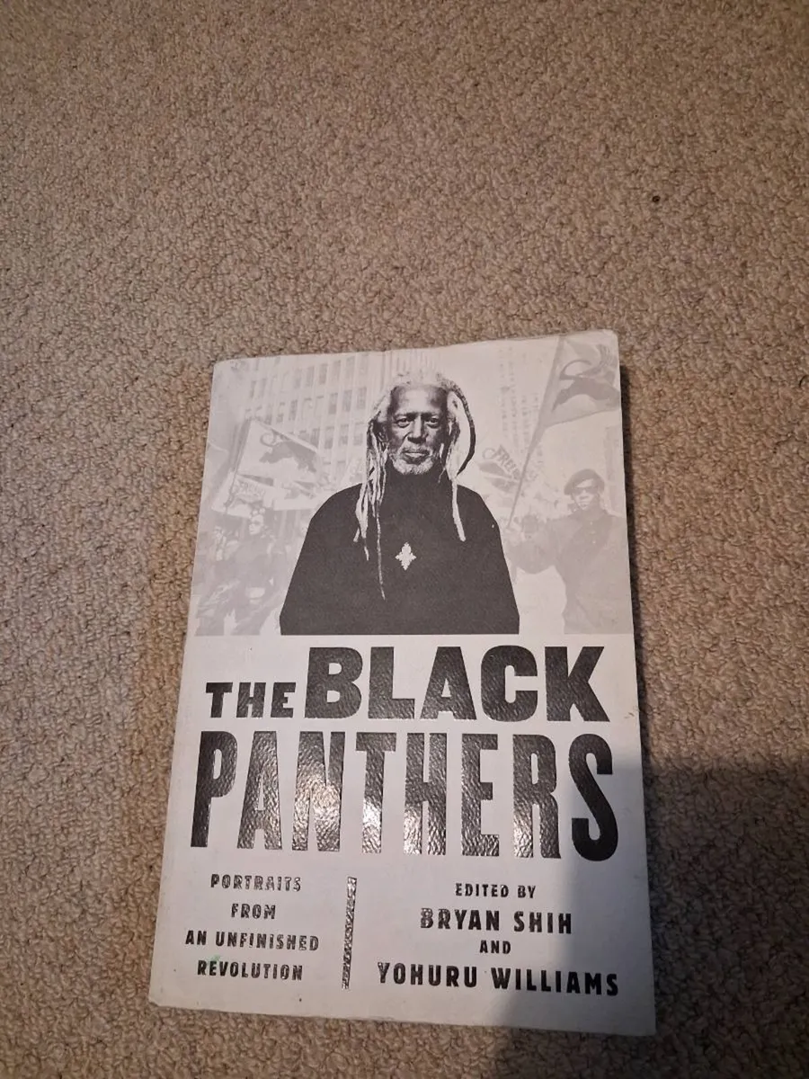 'The Black Panthers' by Brian Sih