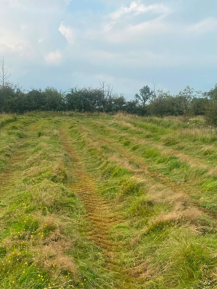 Round bales - Image 4
