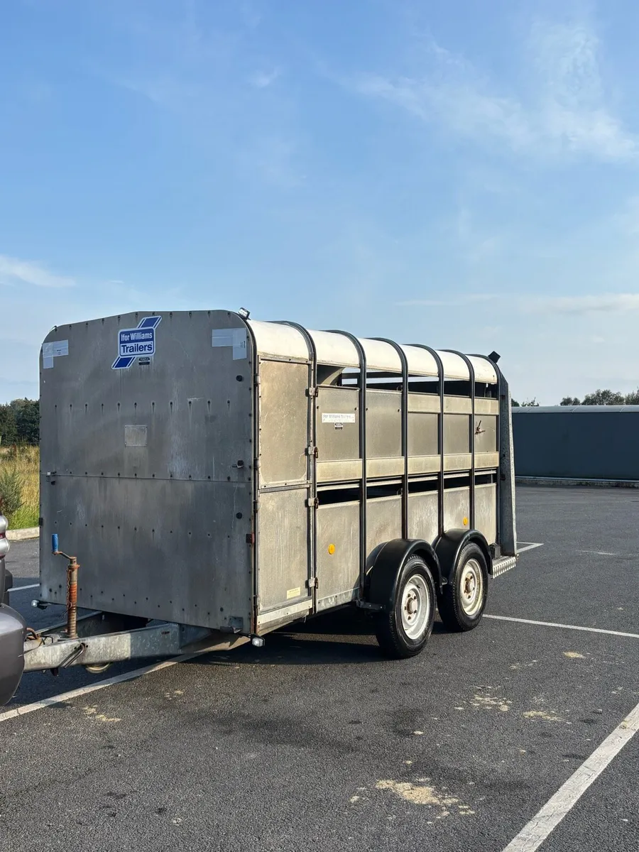 12x6 cattle/sheep trailer - Image 2