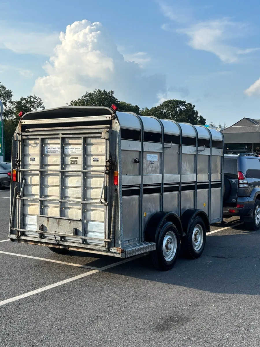 12x6 cattle/sheep trailer - Image 3