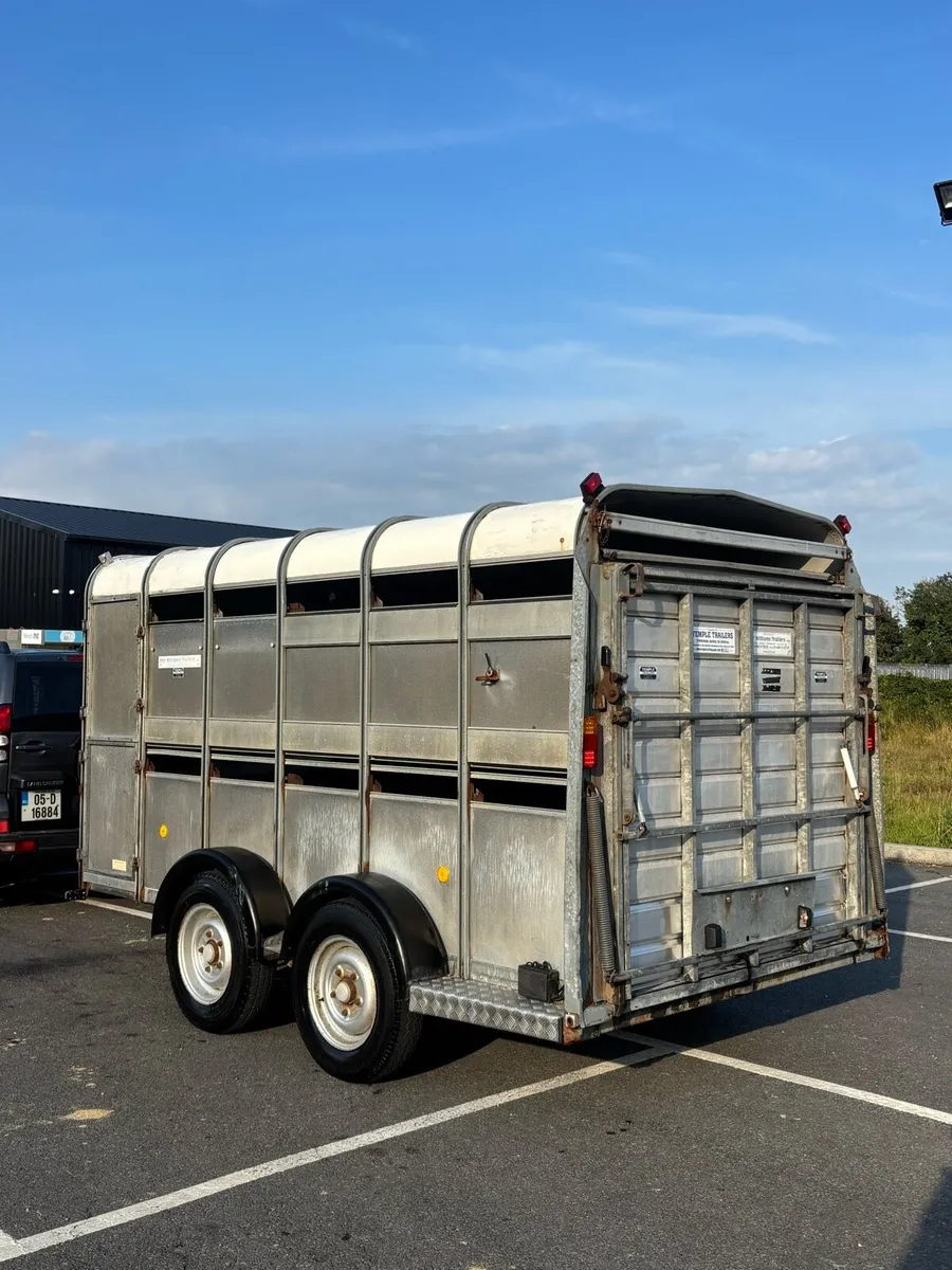 12x6 cattle/sheep trailer - Image 4