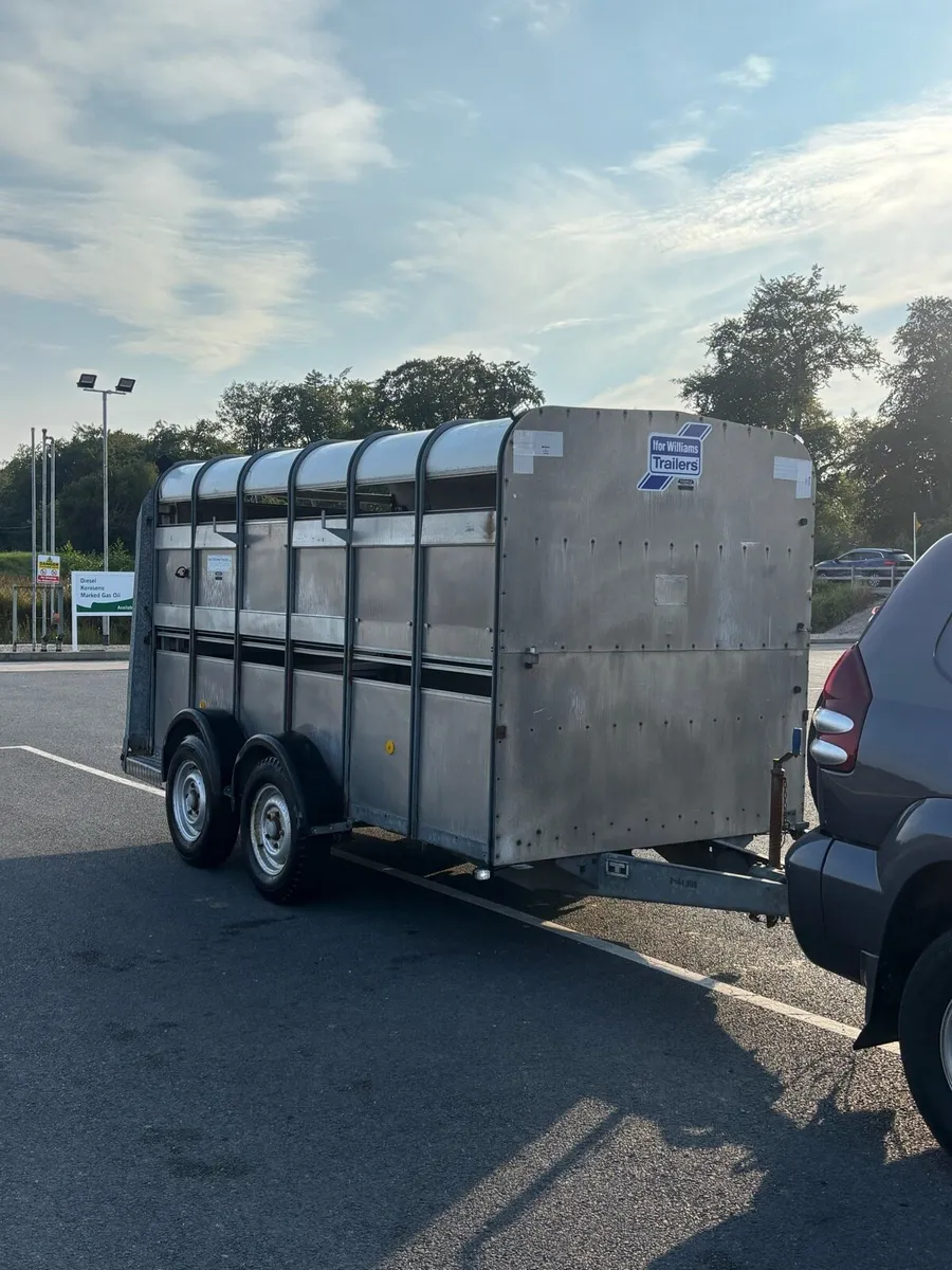 12x6 cattle/sheep trailer - Image 1