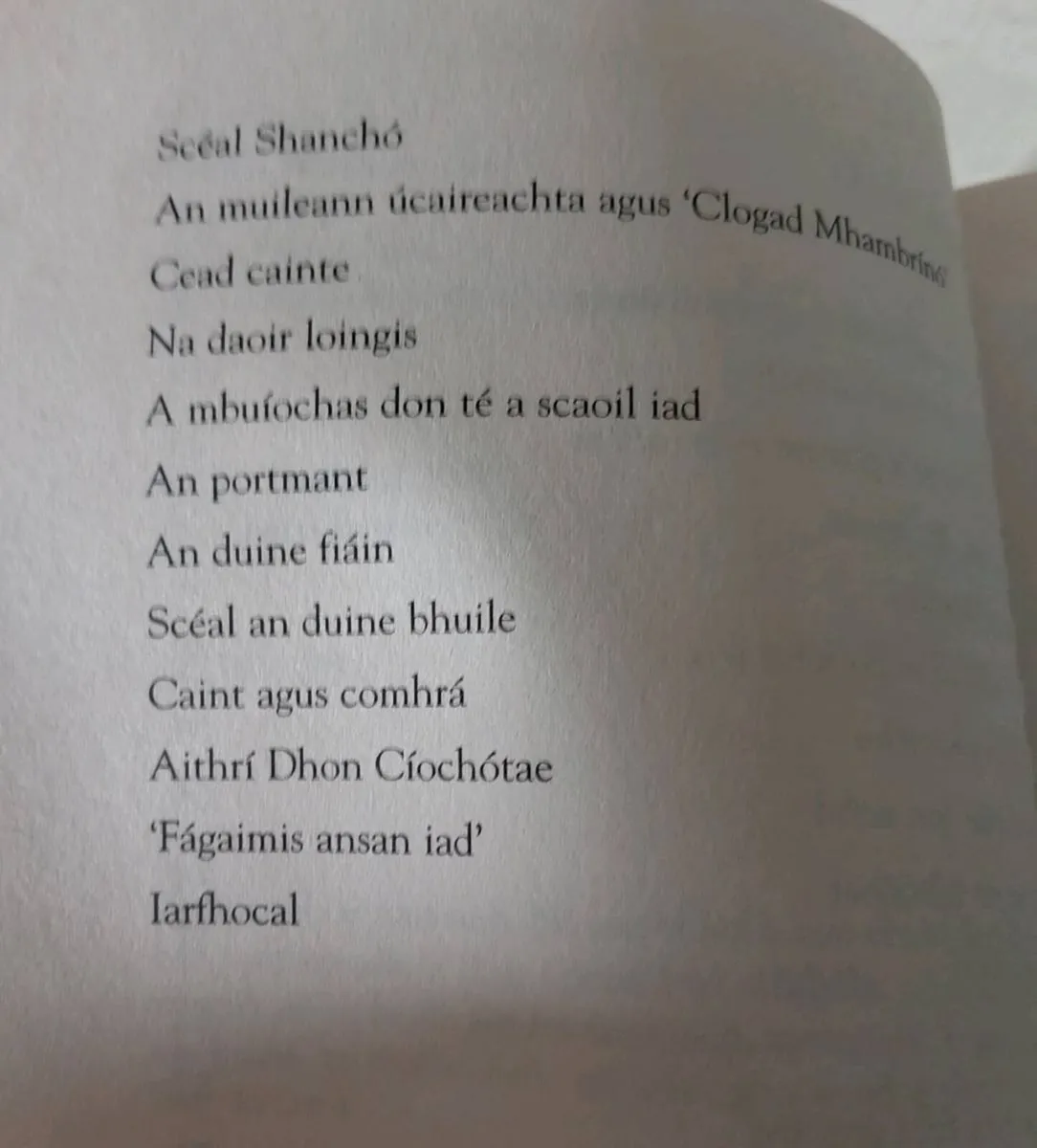 Don Quixote Irish Translation Book - Image 3
