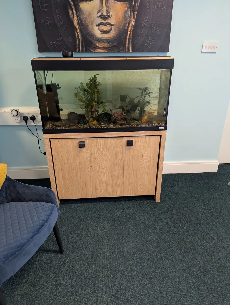 Aquarium - Fluval - Image 2