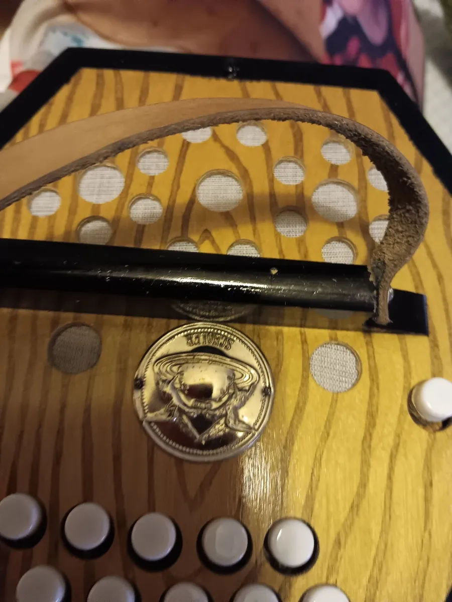 Concertina - Image 2