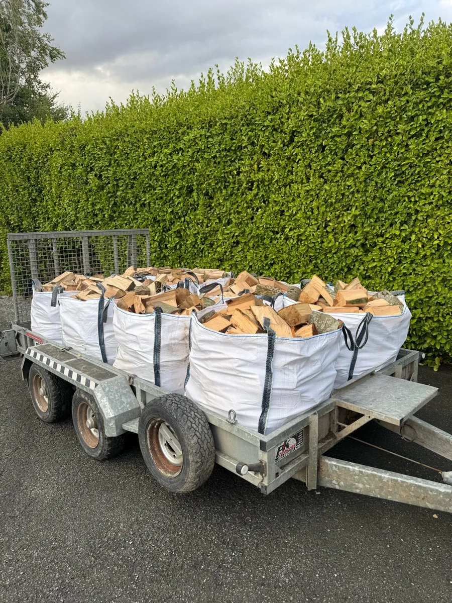 Hardwood firewood - Image 1