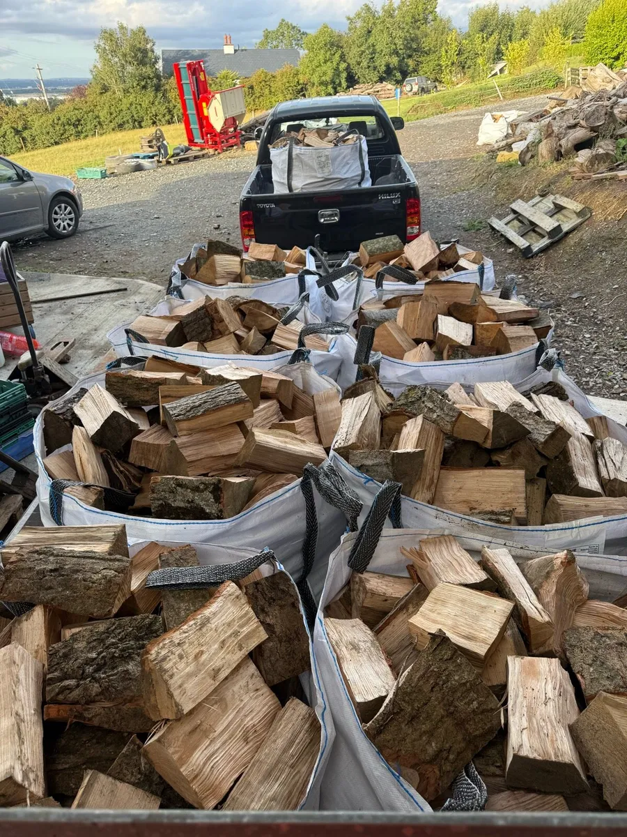 Hardwood firewood - Image 3