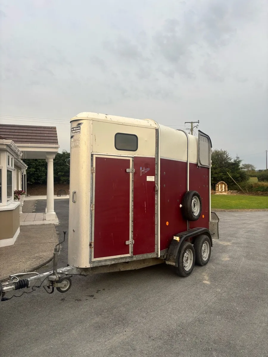Iforwilliams trailer