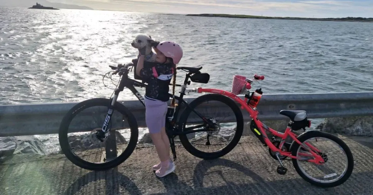 Wee Ride Co Pilot Tagalong Trailer Child Bike - Image 4