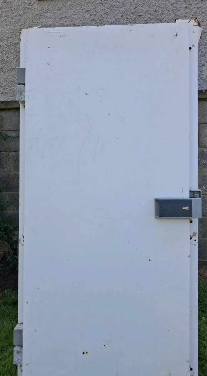 Coldroom door (FREE!) - Image 1