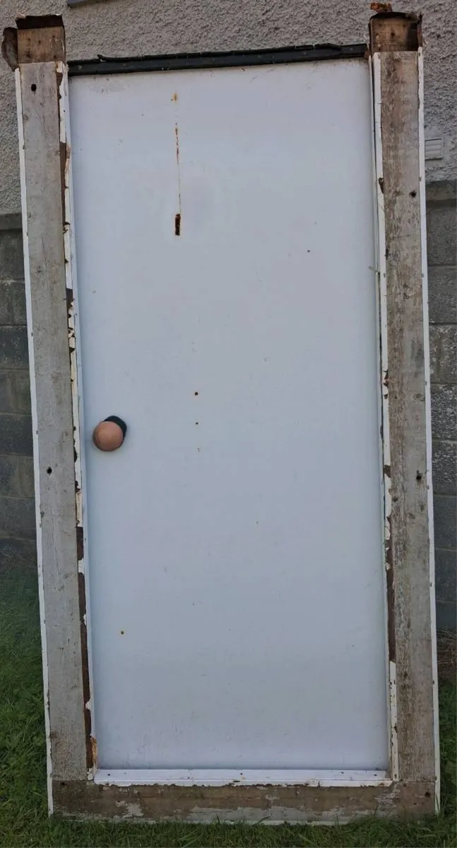 Coldroom door (FREE!) - Image 2