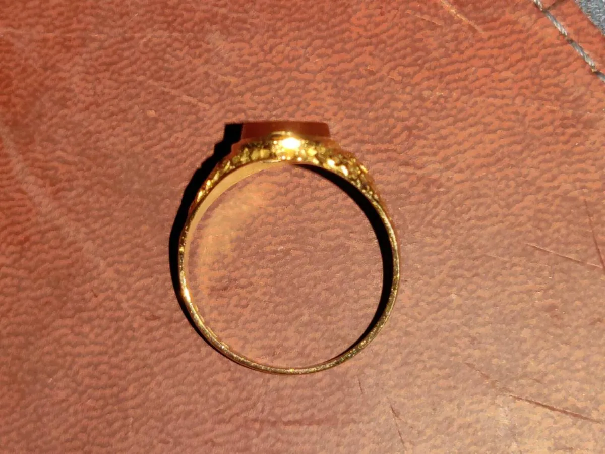 GLITTERY TRELLIS CARNELIAN , 9CT Gold Signet Ring - Image 3