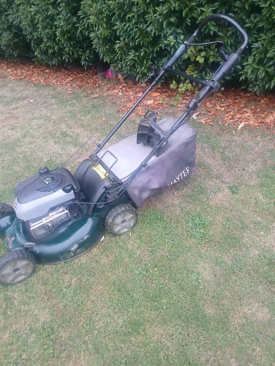 Hayter R53A self Drive Mulching Lawnmower - Image 2