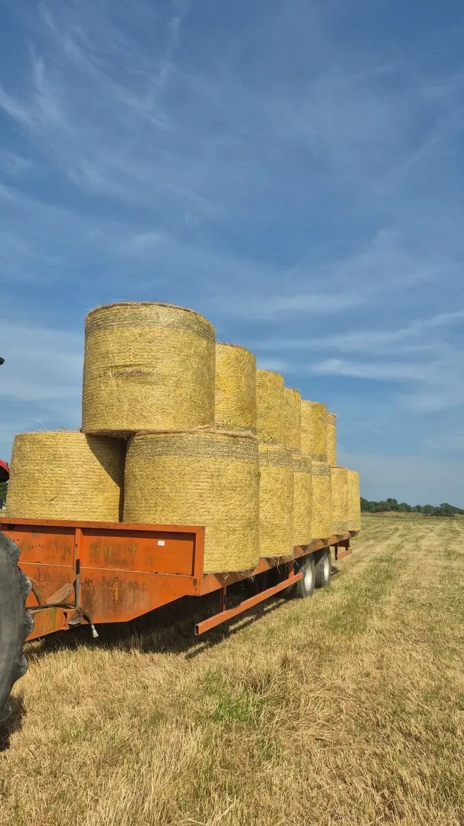 Horse Hay- 10am to 1pm Thurs to Sat - Image 1