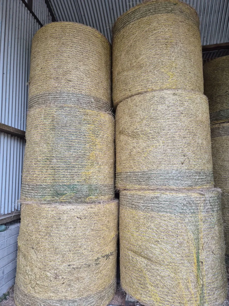 Horse Hay - Image 1