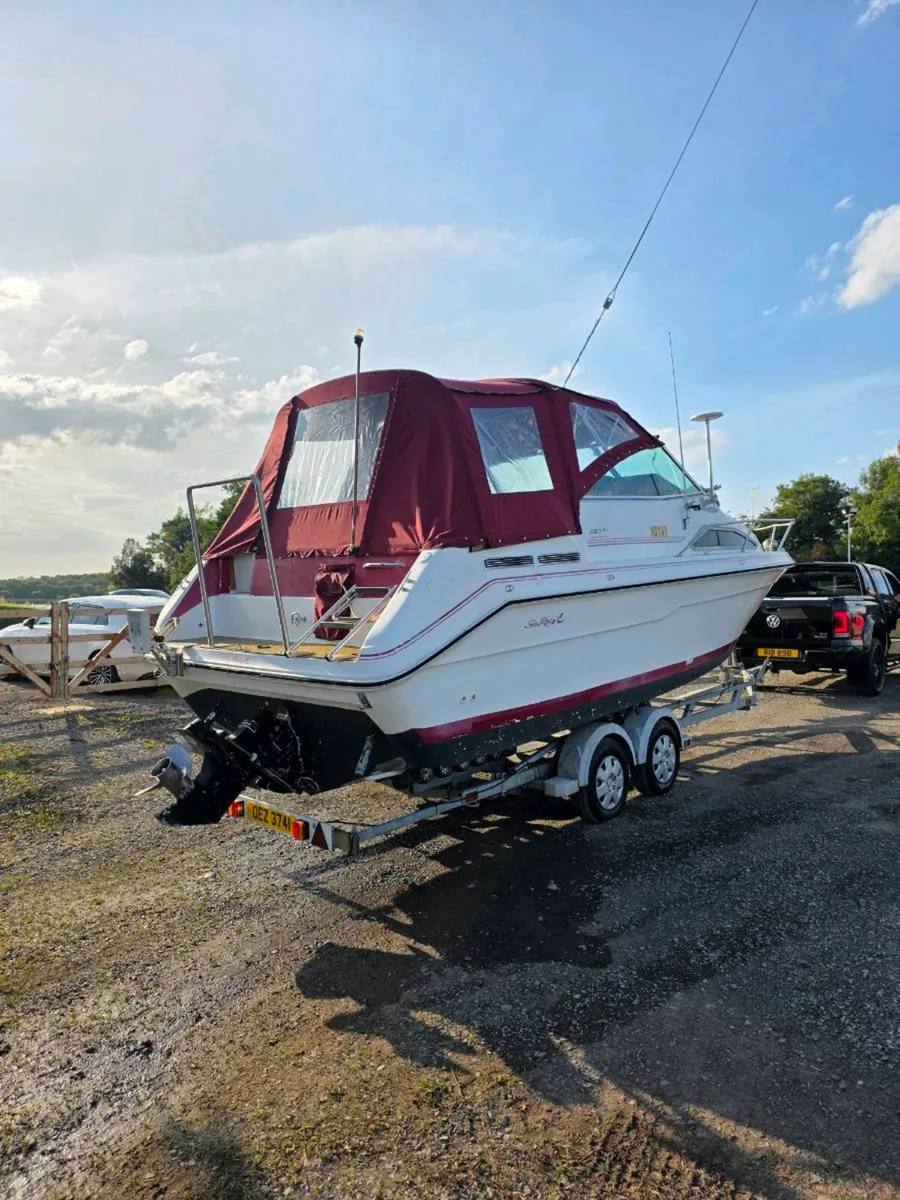 Sea Ray 220 DA sports cruiser cuddy cabin boat - Image 3