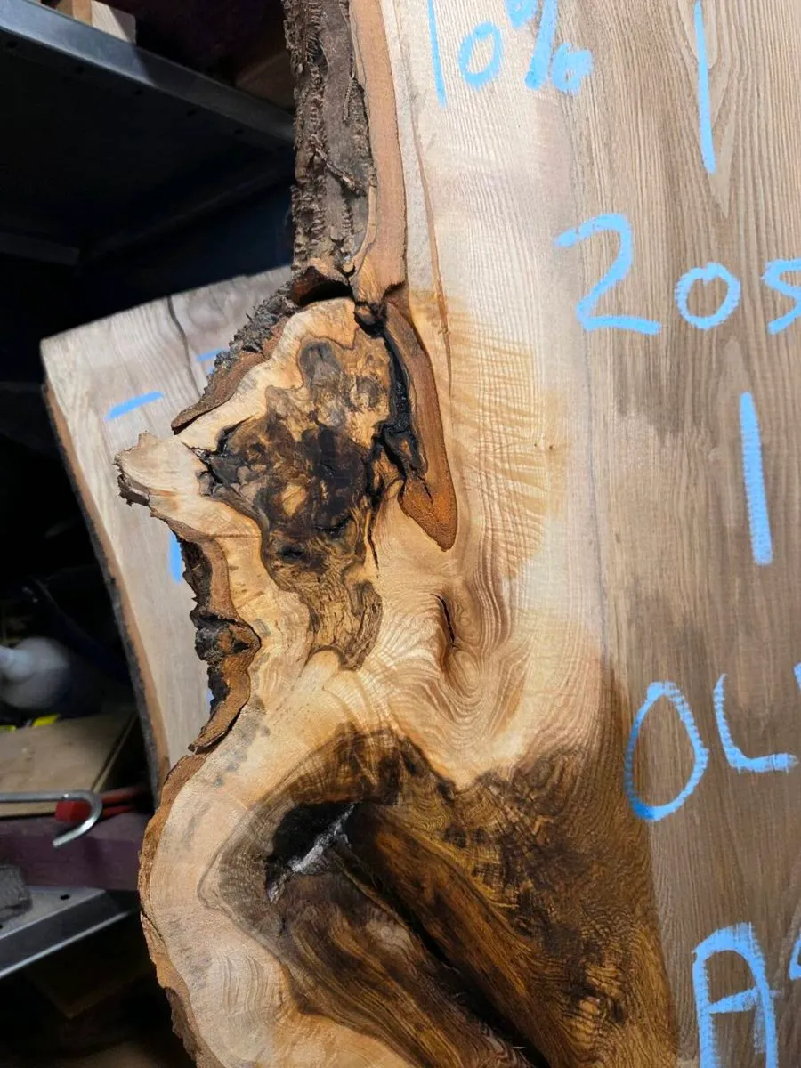 Olive Ash Live edge slab - Image 3