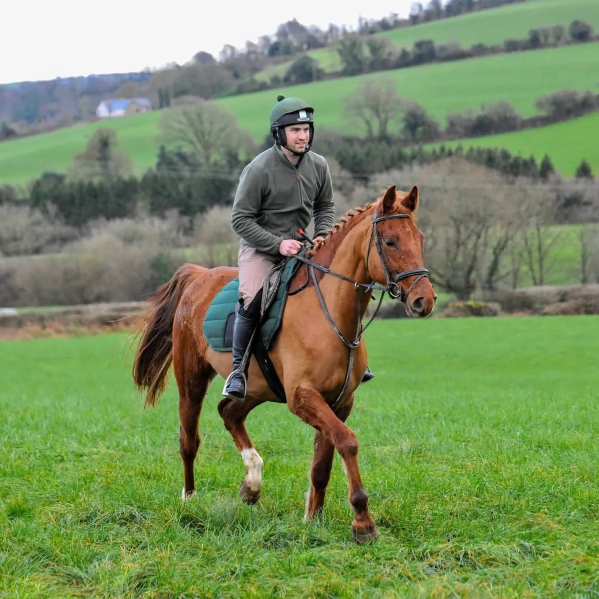 4YO ISH by Future Trend ex. Kings Master - Image 1