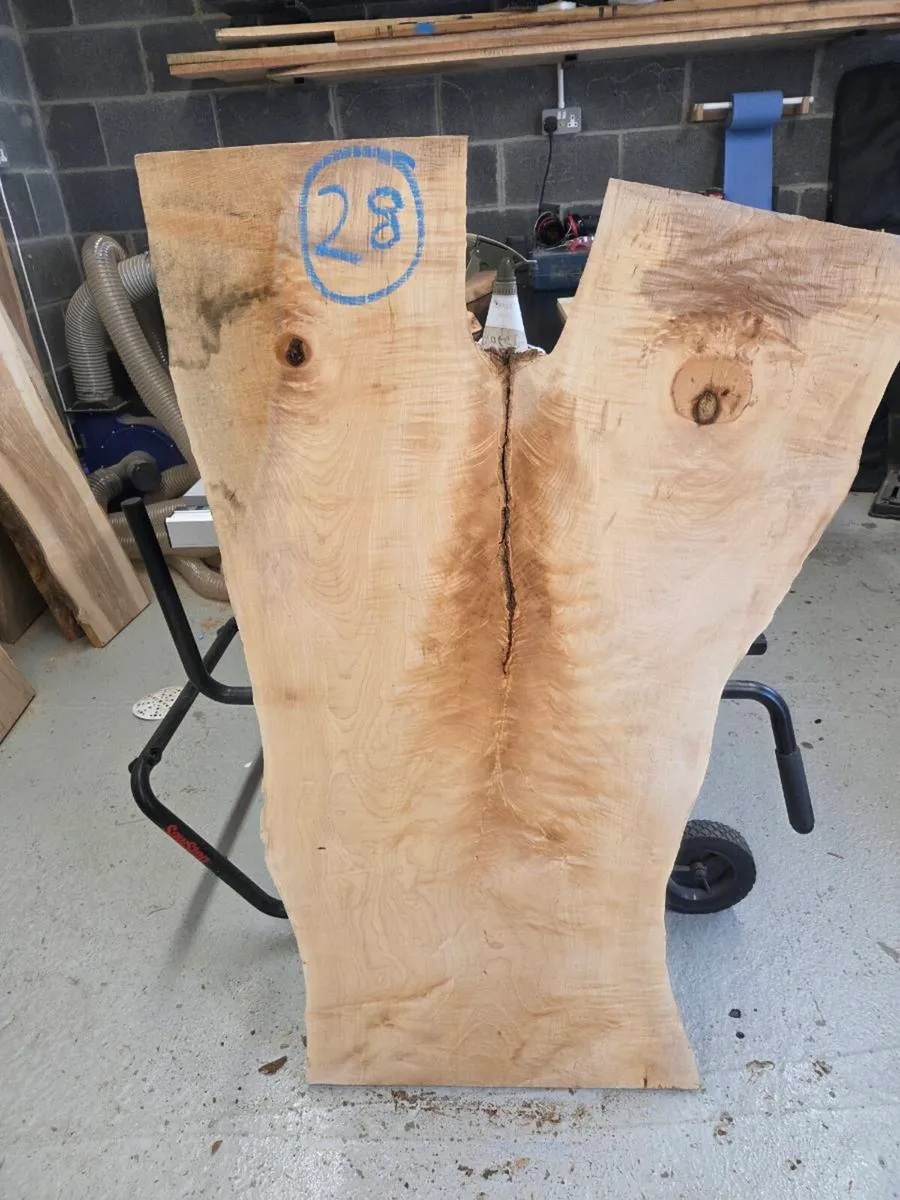 Live Edge Sycamore Slab - Image 1
