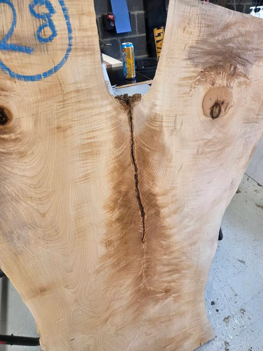 Live Edge Sycamore Slab - Image 2