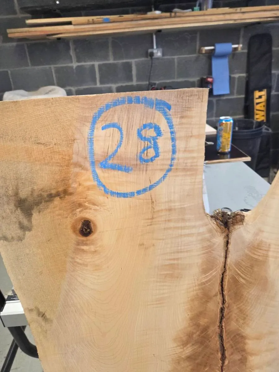 Live Edge Sycamore Slab - Image 3