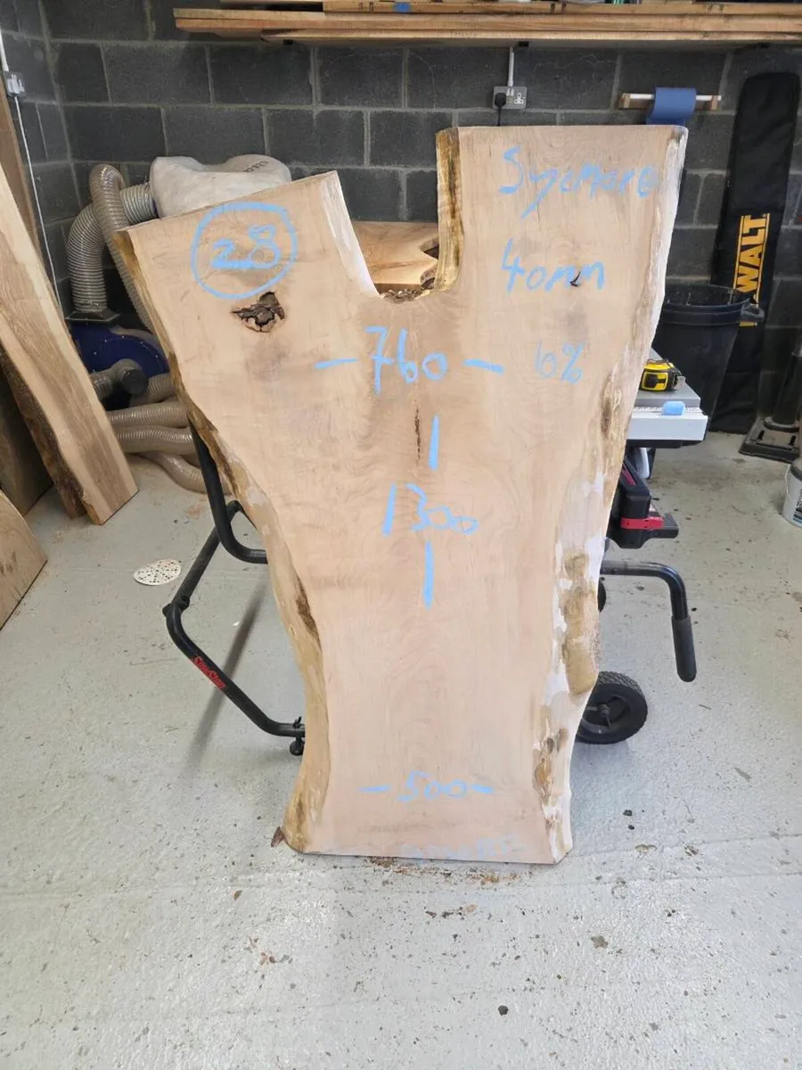 Live Edge Sycamore Slab - Image 4