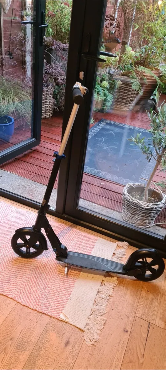 Push scooter - Image 1