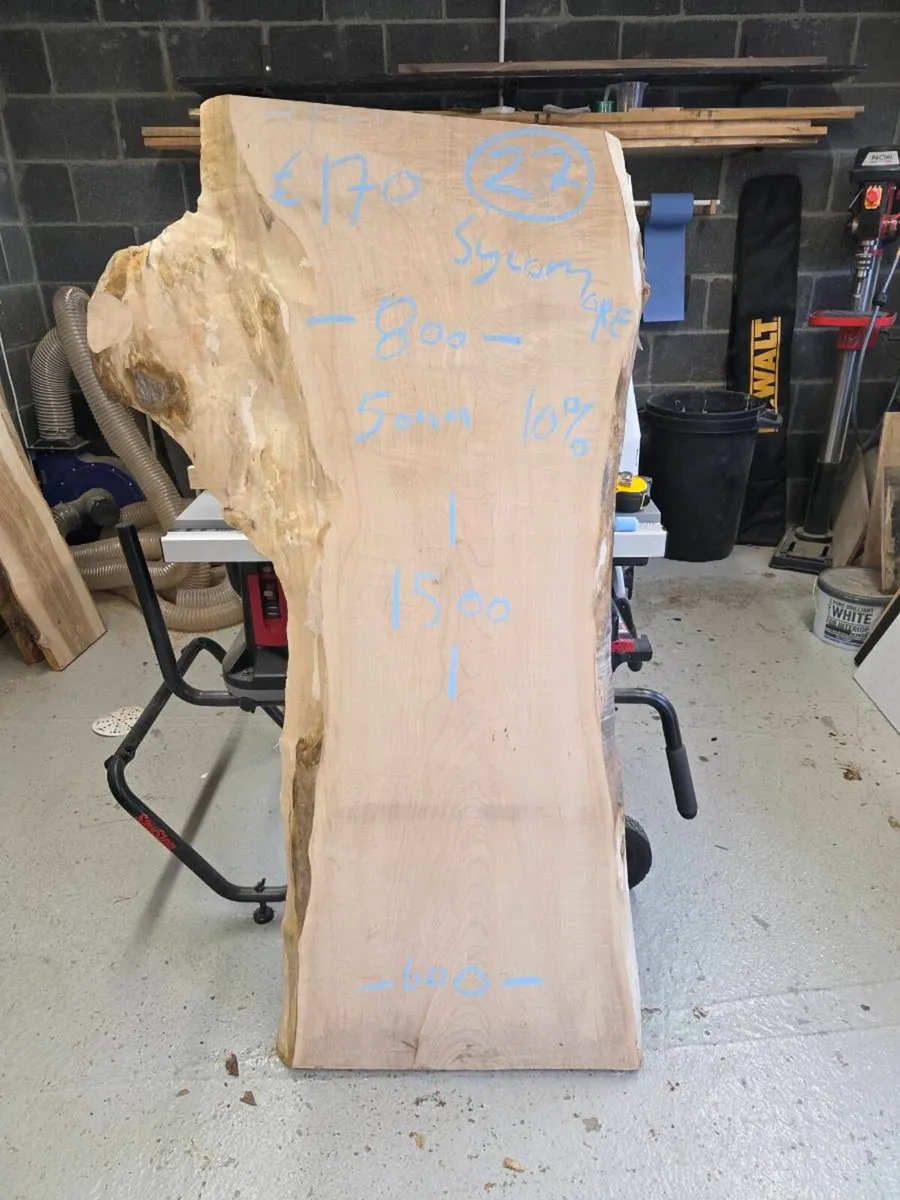 Live Edge Sycamore Slab - Image 4