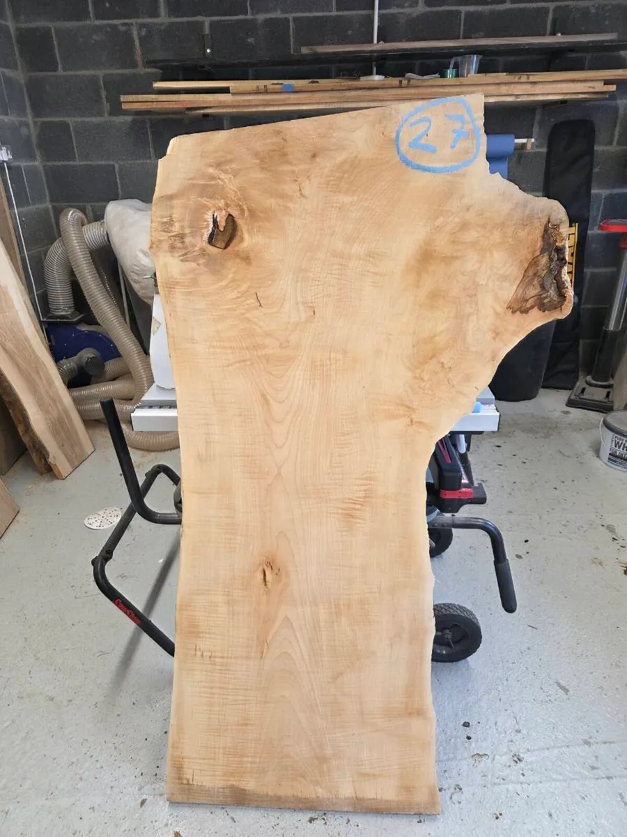 Live Edge Sycamore Slab - Image 1