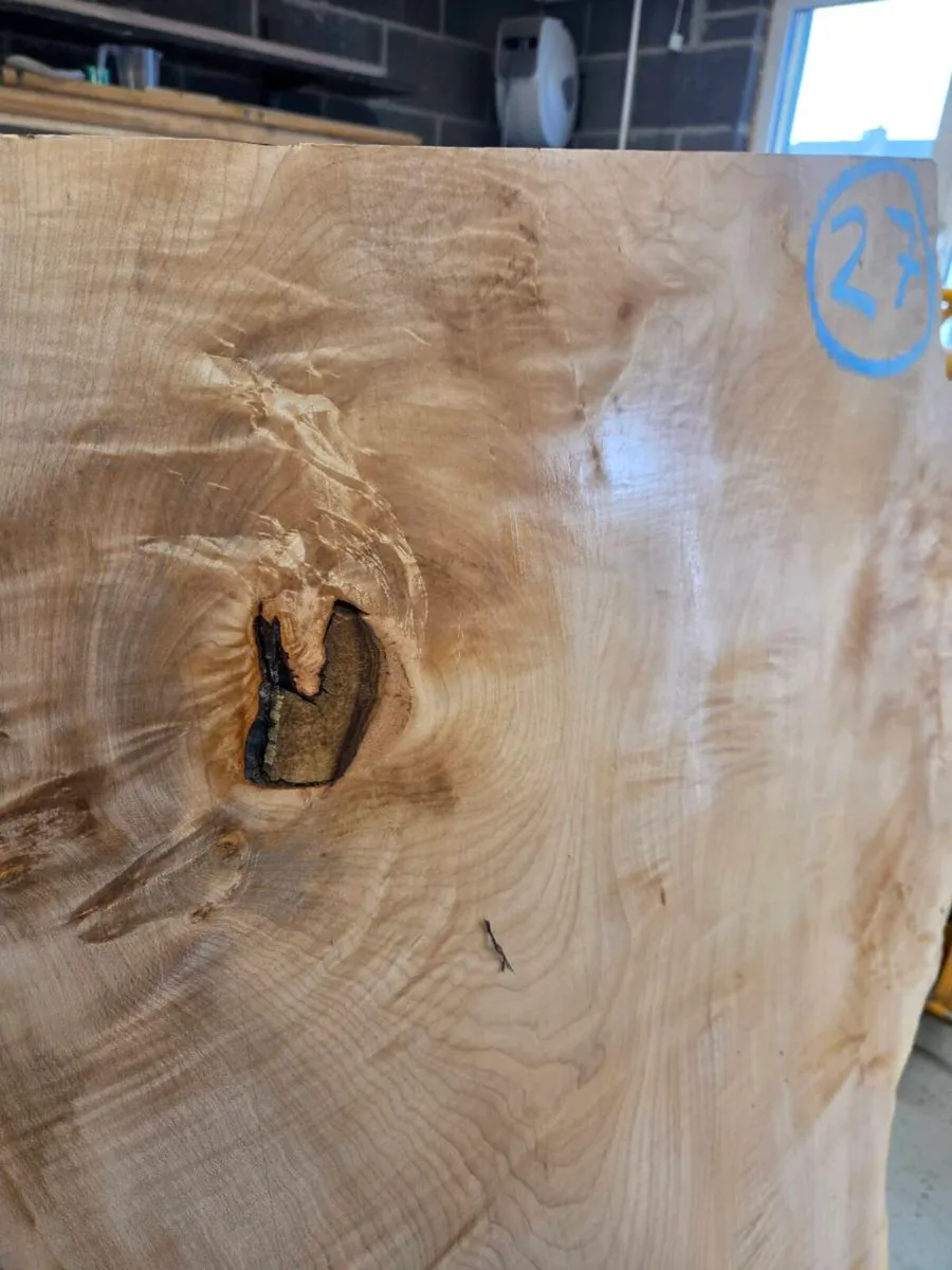 Live Edge Sycamore Slab - Image 2
