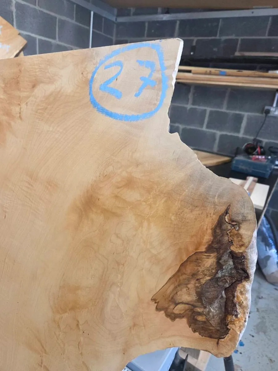 Live Edge Sycamore Slab - Image 3