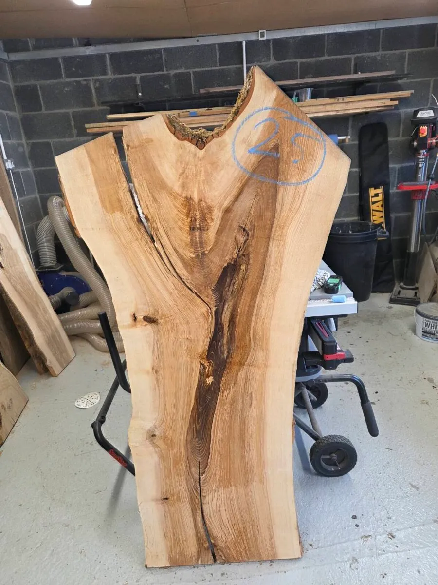 Live Edge Ash Slab - Image 1
