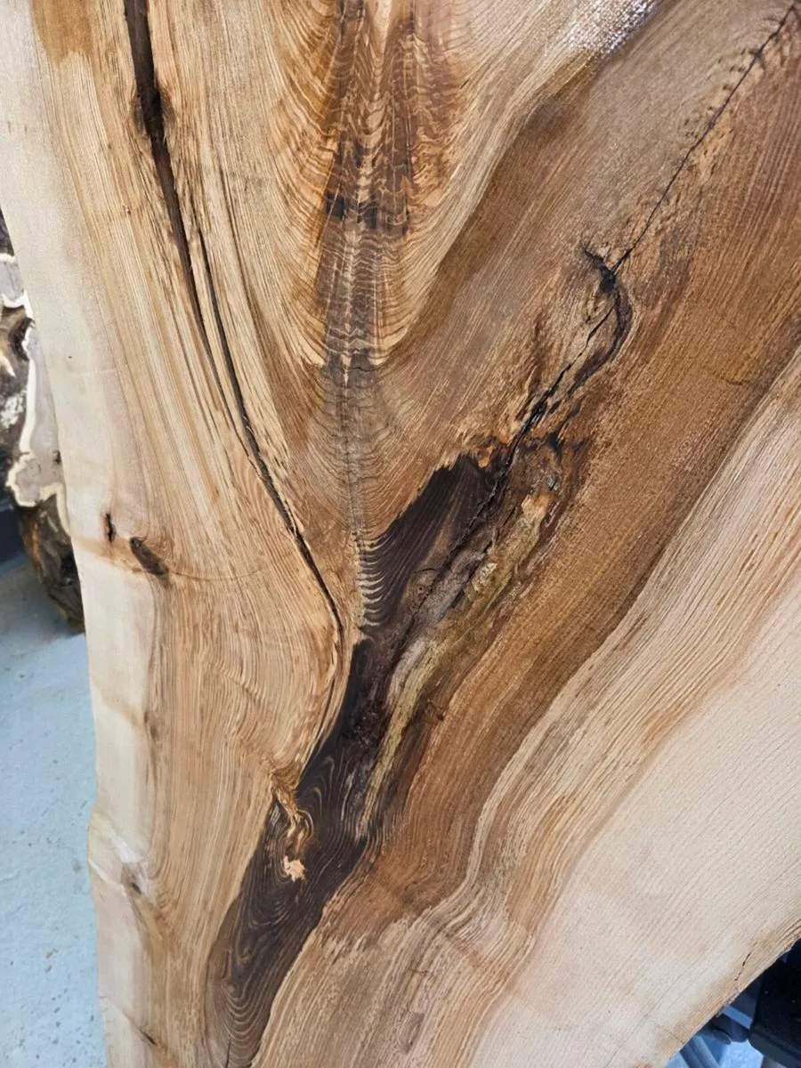 Live Edge Ash Slab - Image 2