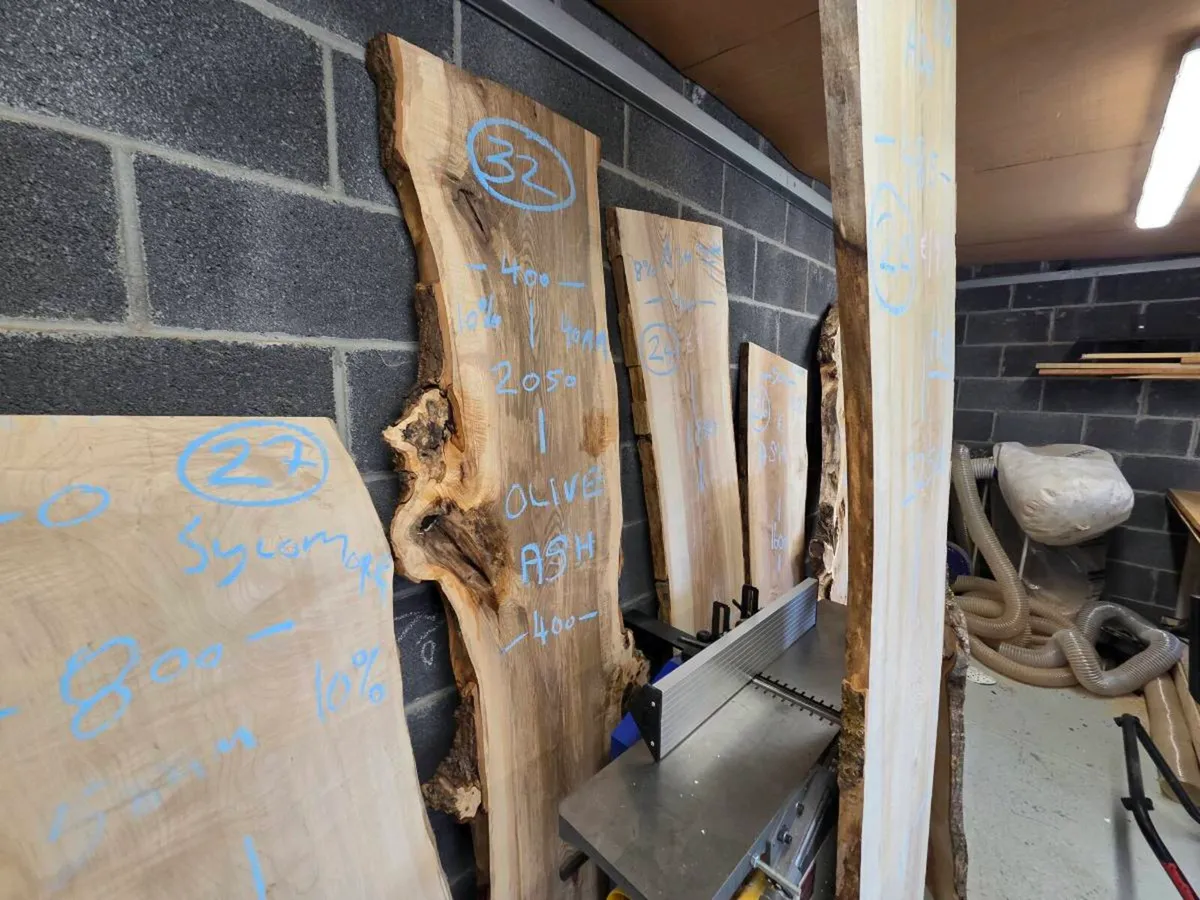 Live Edge Ash, Sycamore, Chessnut and More! - Image 3
