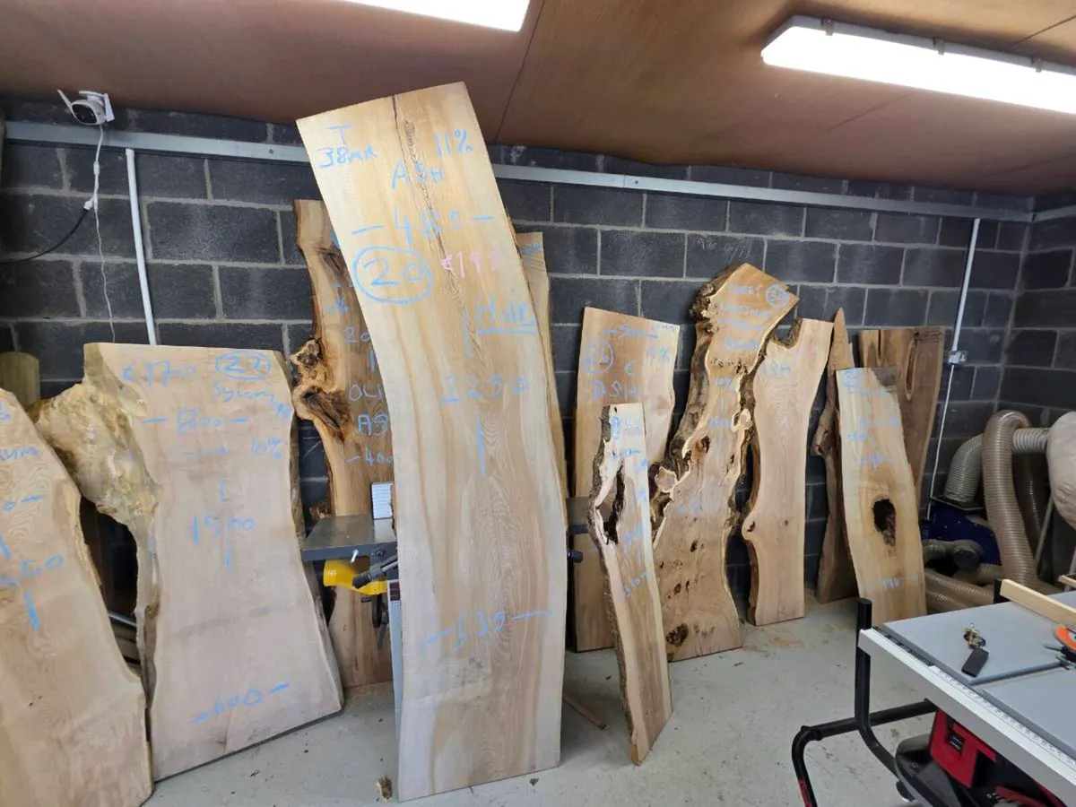 Live Edge Ash, Sycamore, Chessnut and More! - Image 4