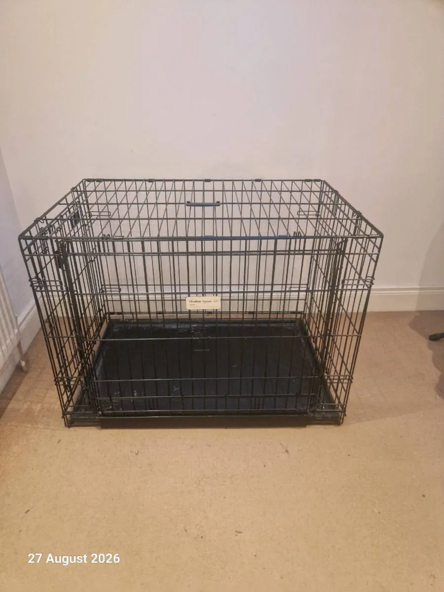 Cat cage - Image 1