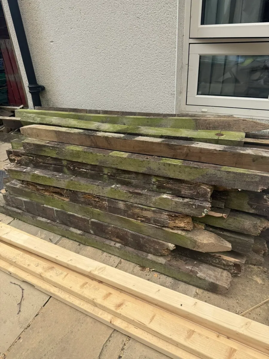 Timbers - Image 2