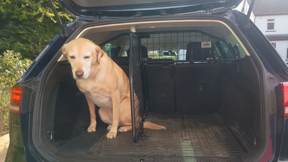 Vw passat dog guard and boot divider - Image 3