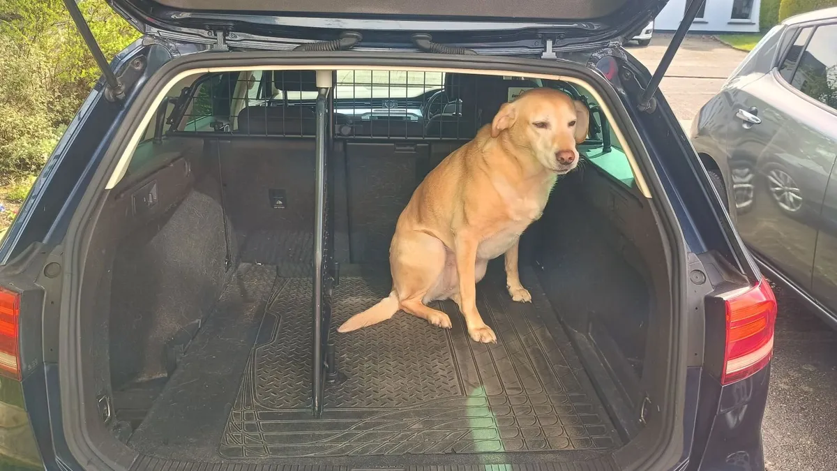 Vw passat dog guard and boot divider - Image 4