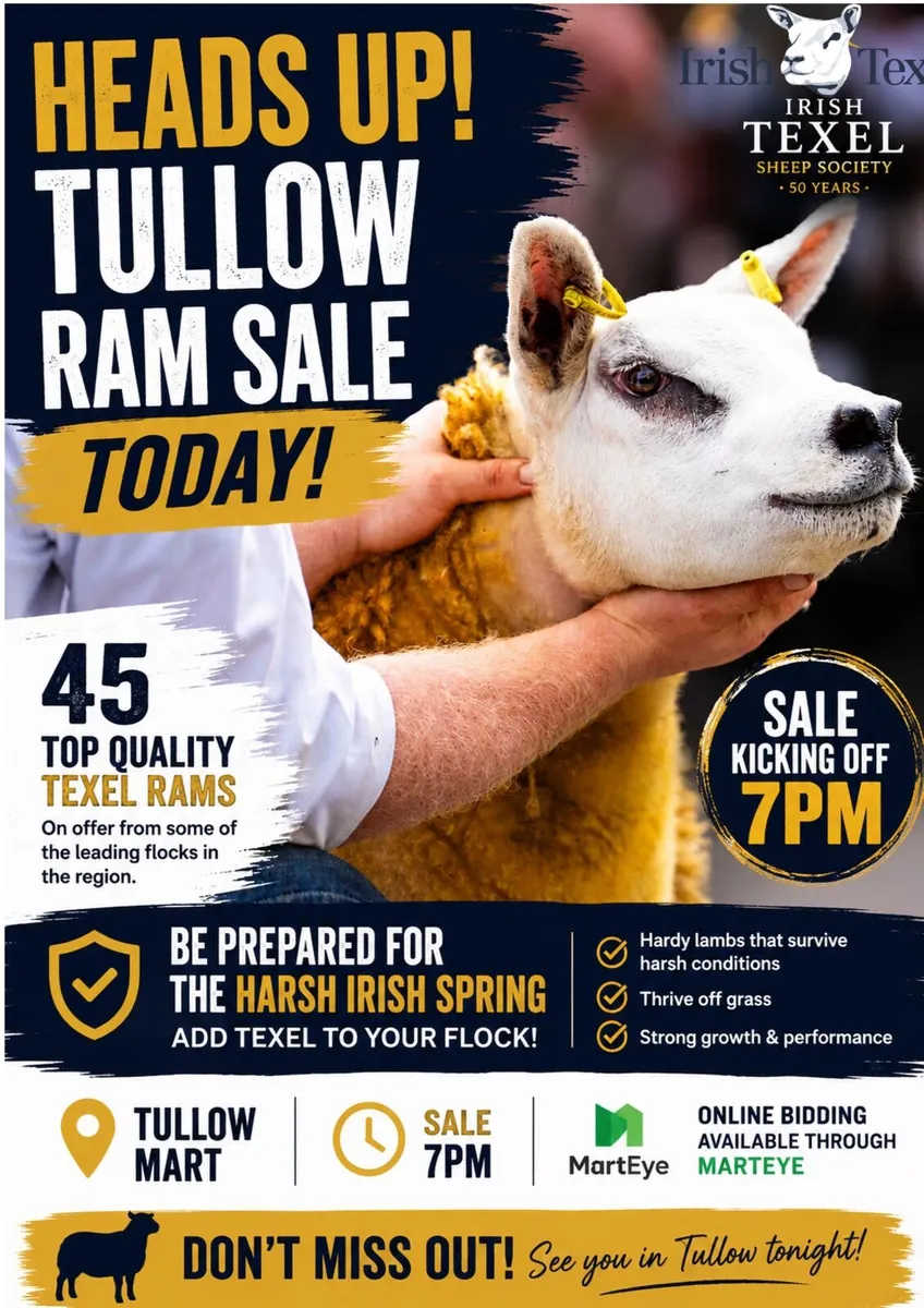 Tullow Mart Today