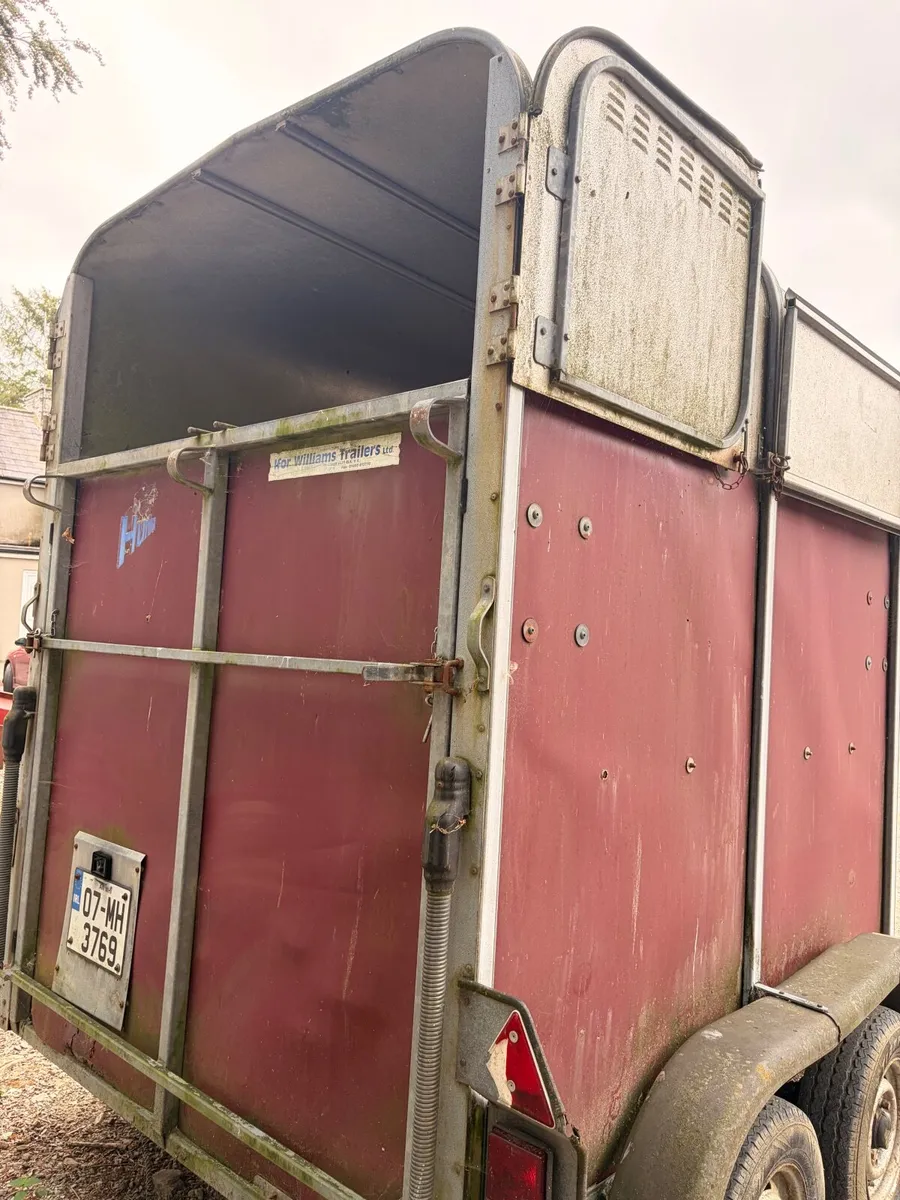 Horse Box - Ifor Williams HB505 - Image 2