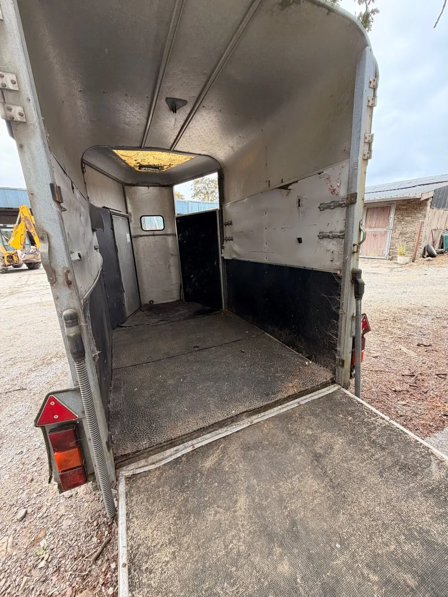 Horse Box - Ifor Williams HB505 - Image 3
