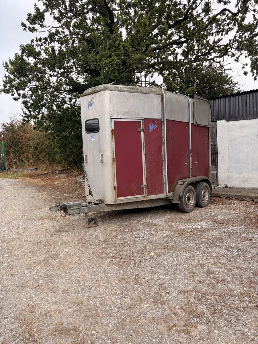 Horse Box - Ifor Williams HB505 - Image 1