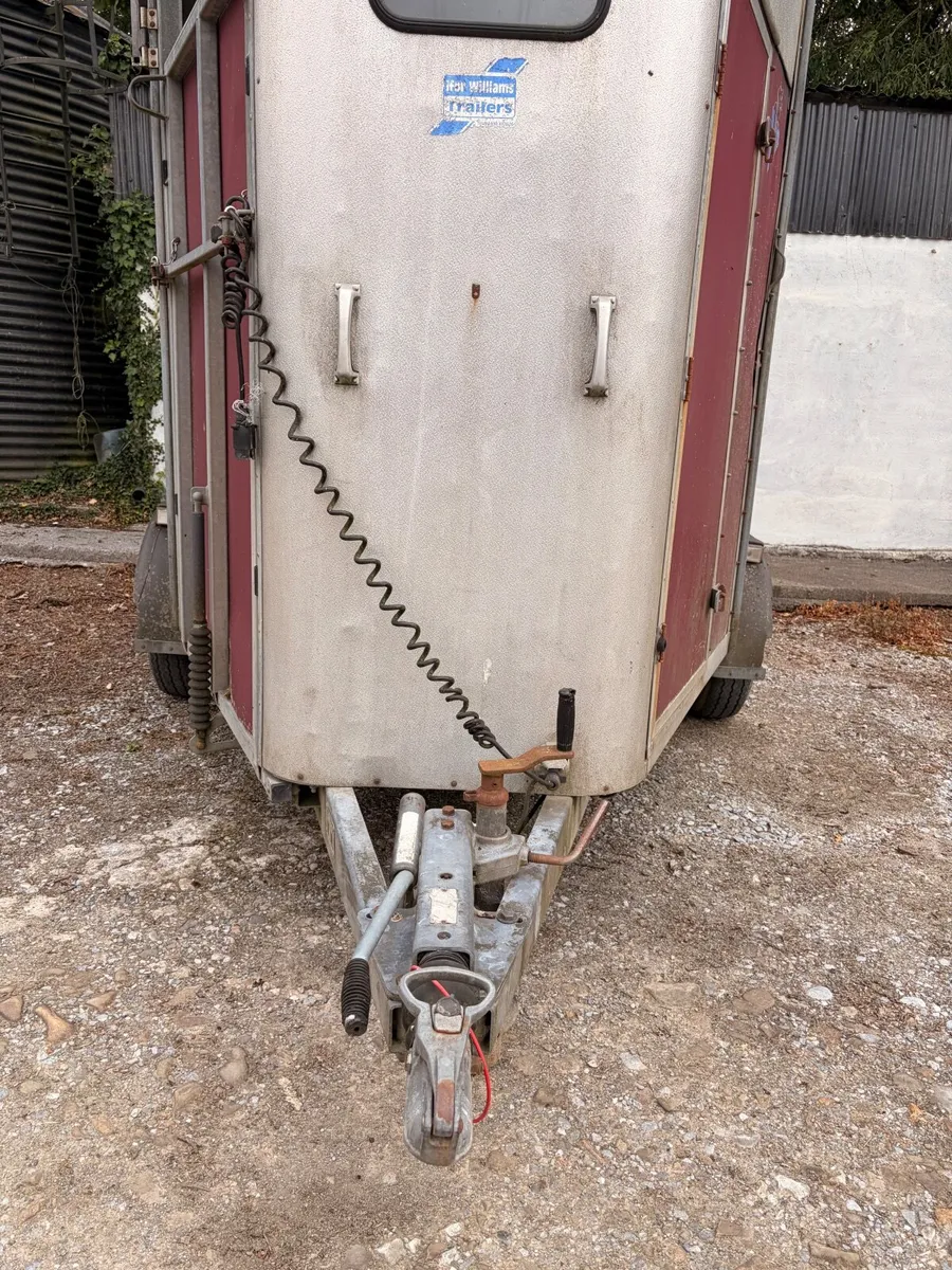 Horse Box - Ifor Williams HB505 - Image 4