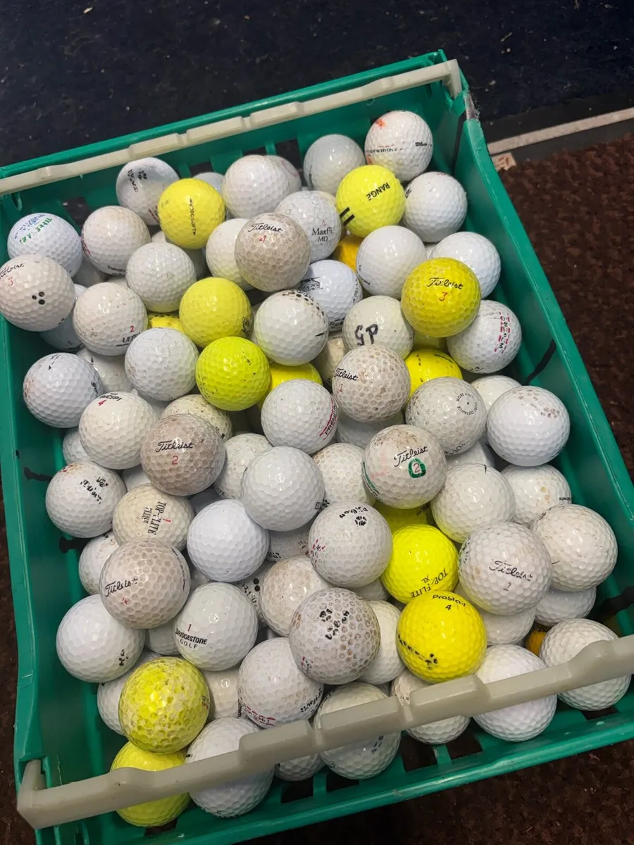 100 Golf Balls - Image 1