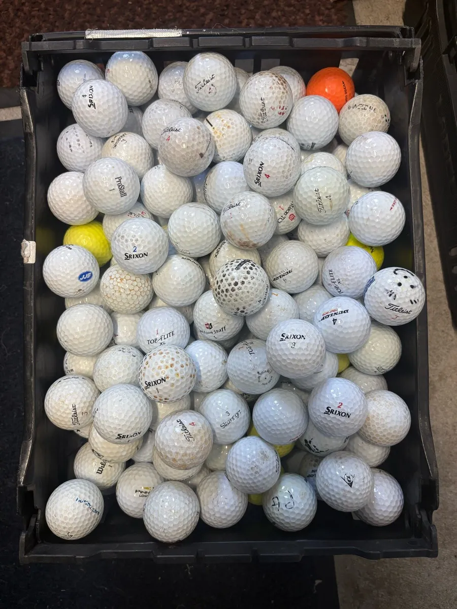 100 Golf Balls - Image 4