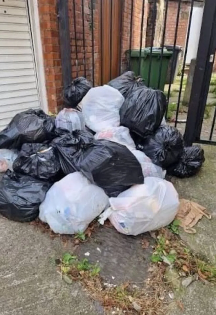 Rubbish removal - Image 4